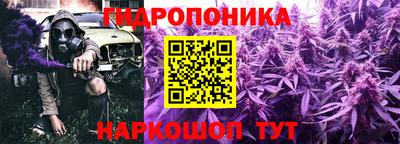 мяу мяу мука Мариинск