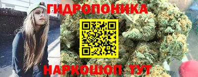 мяу мяу мука Мариинск